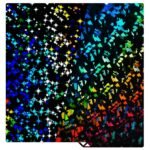 PorimaX Smooth Flake H1H / Smooth Galaxy H1H Tabla (235 mm x 235 mm) - Görsel 3